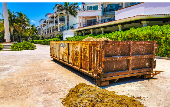 Sargassum Cleanup